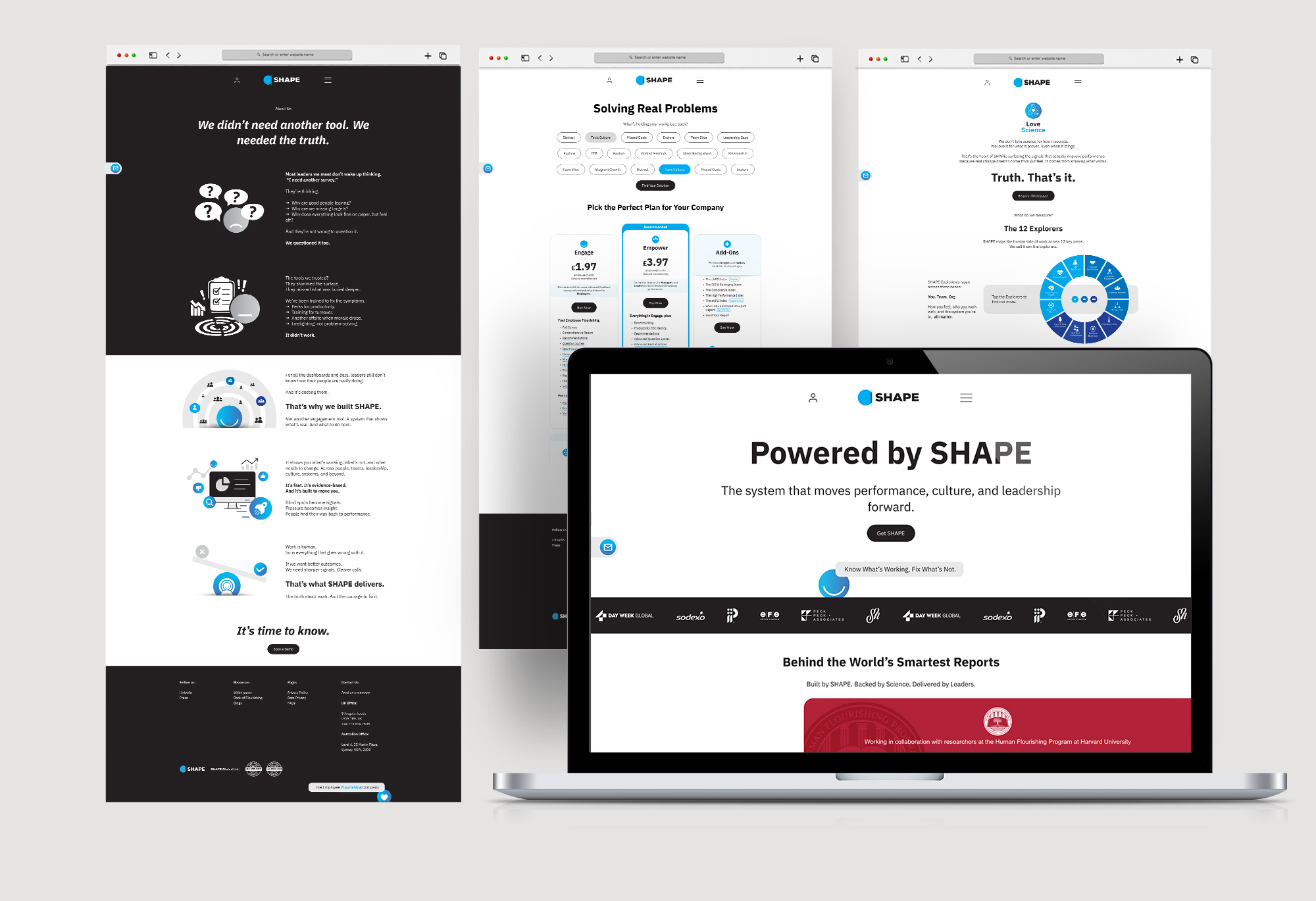 SHAPE Slide 10